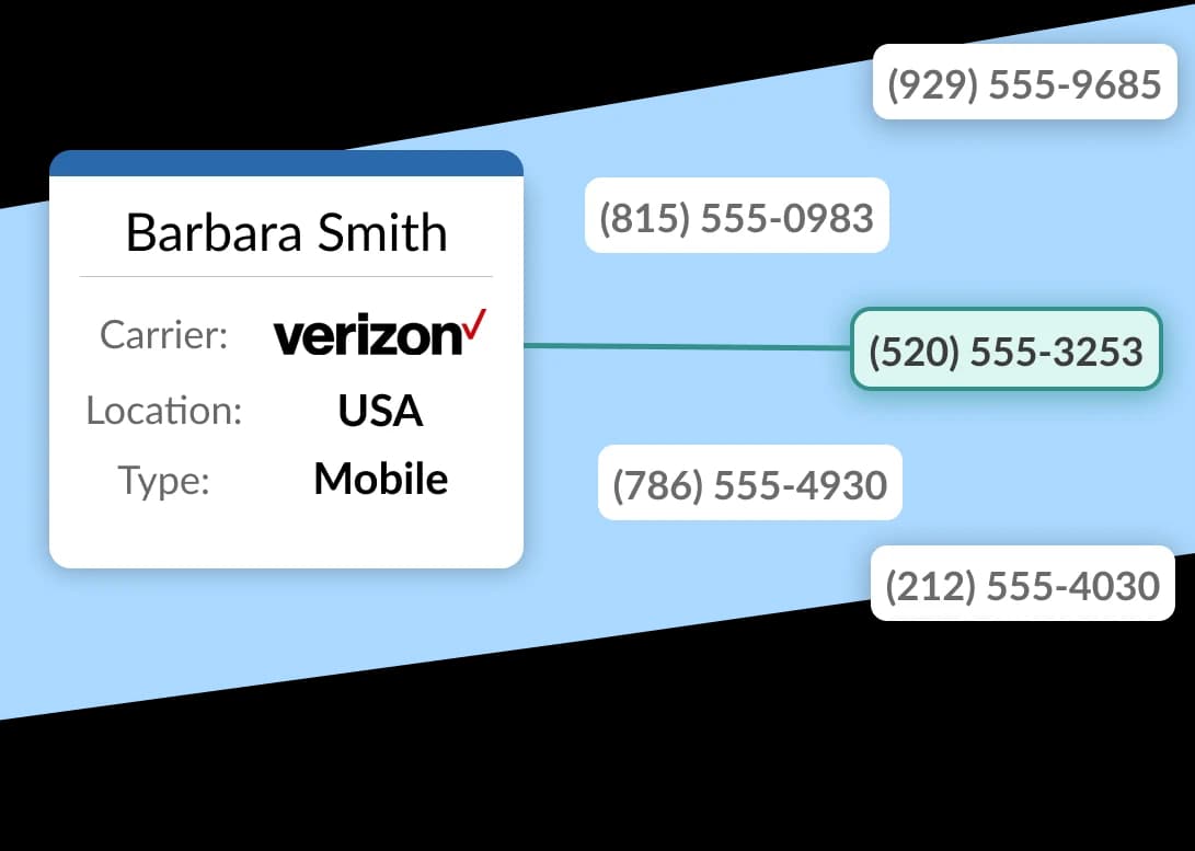 Variety of phone numbers with a link from one phone number to a data card