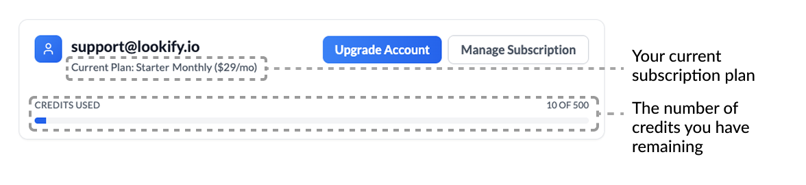 Account overview card showing subscription details, credit usage, and action buttons in the account dashboard